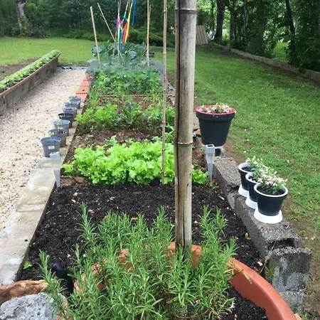 Dordogne Glamping & Kemp Bouzic