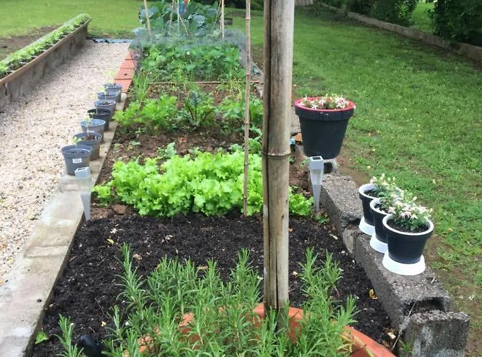 Dordogne Glamping & Кемпинг Bouzic